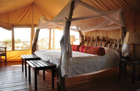 Tented Camp Photo